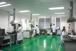 打造一流技術(shù)服務(wù)標(biāo)桿 廣州廣電計(jì)量檢測股份有限公司的專業(yè)化發(fā)展之路