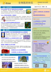 長煦信息技術咨詢 專業信息技術咨詢服務助力企業數字化轉型